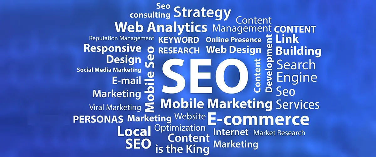 Website SEO Promotion Company in Delhi