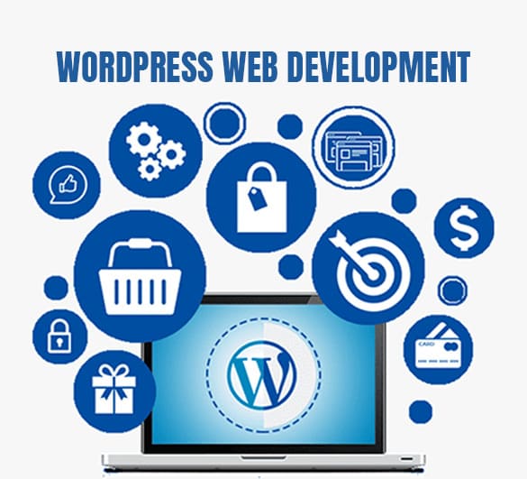 Wordpress Web Development Services in Delhi