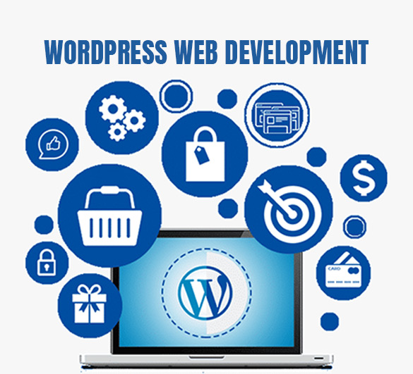 Wordpress Web Development
