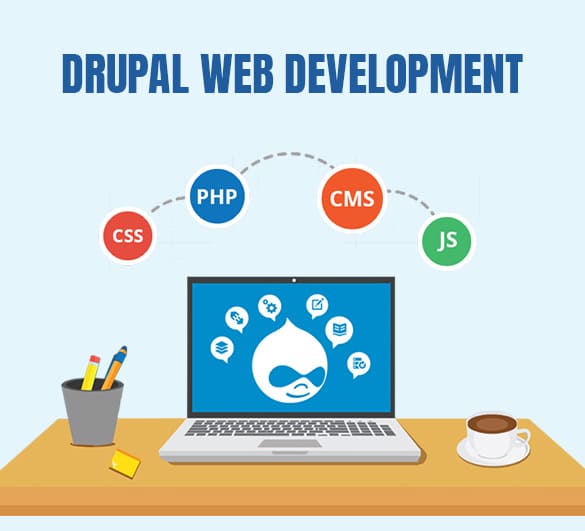 Drupal Web Development Services in Delhi