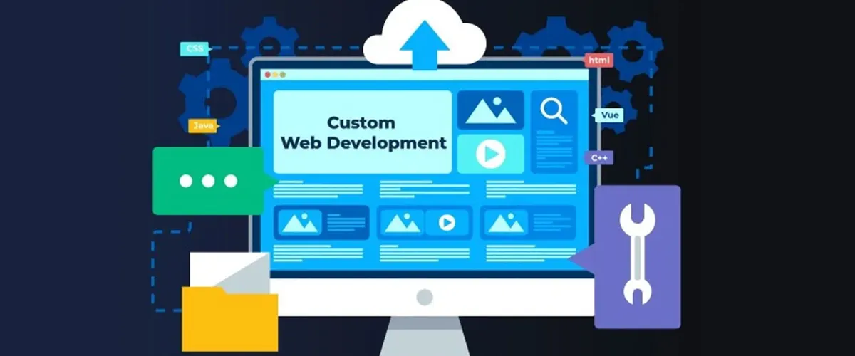 Customize Web Development Services in Delhi