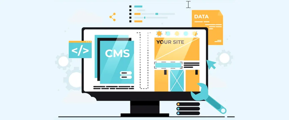 CMS Web Development Services in Delhi