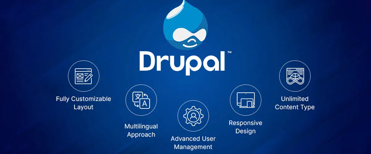 Drupal Web Development Services in Delhi