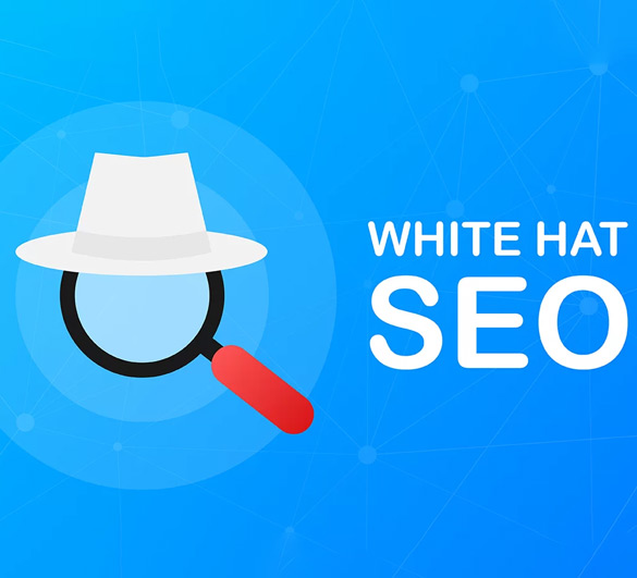 Organic White Hat SEO Company in Delhi
