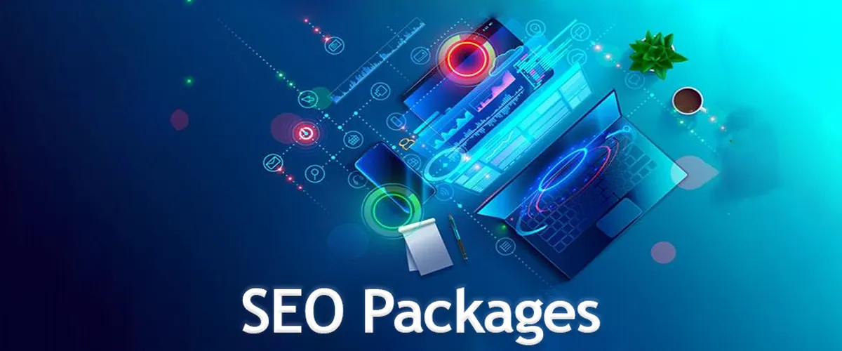 SEO Package Services in Delhi