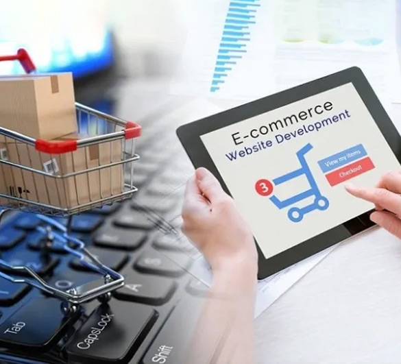 Ecommerce Web Development