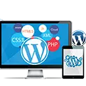 Wordpress Web Development