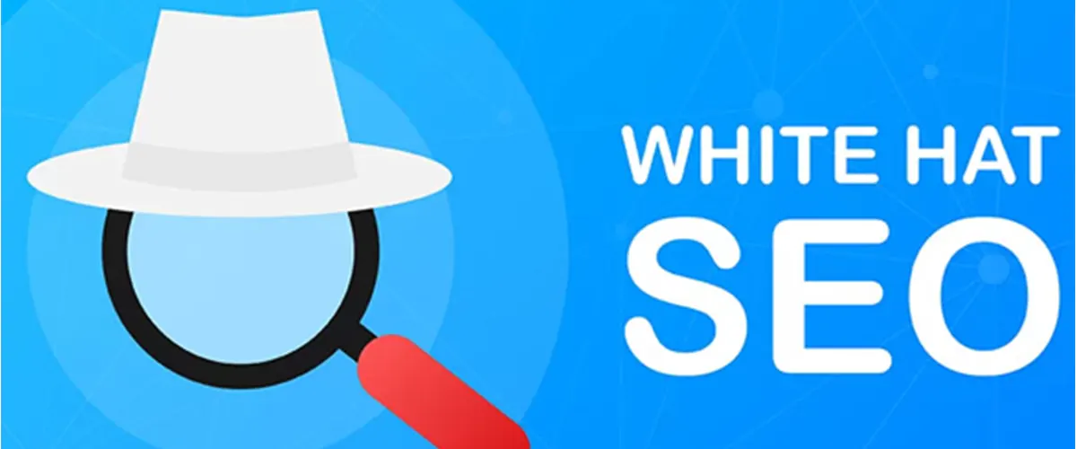 Organic White Hat SEO Company in Delhi